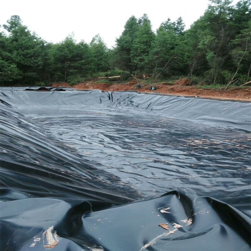 生態農業魚池采用91免费在线下载污膜鋪裝技術要點